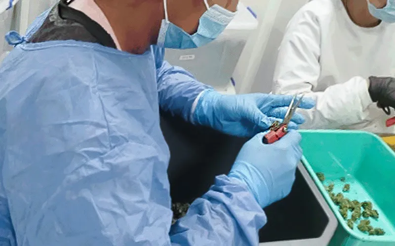Hand trimming process