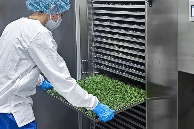 Rack placement in drying oven