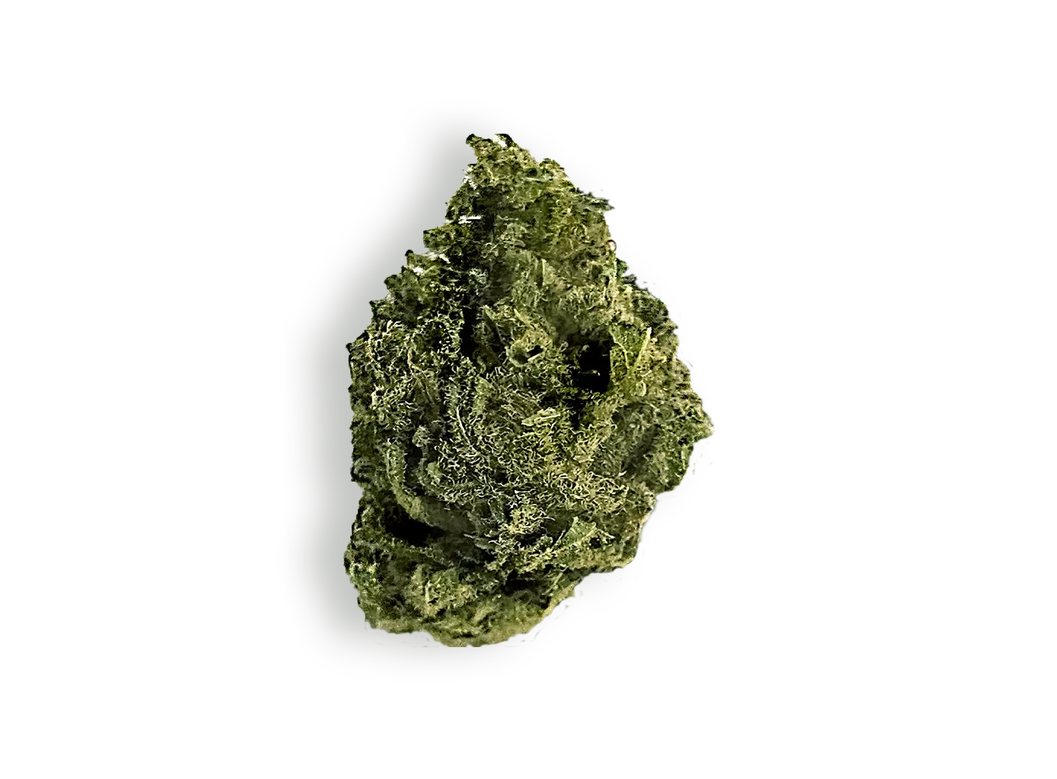 SKY HEALTH PLUS cannabis flower