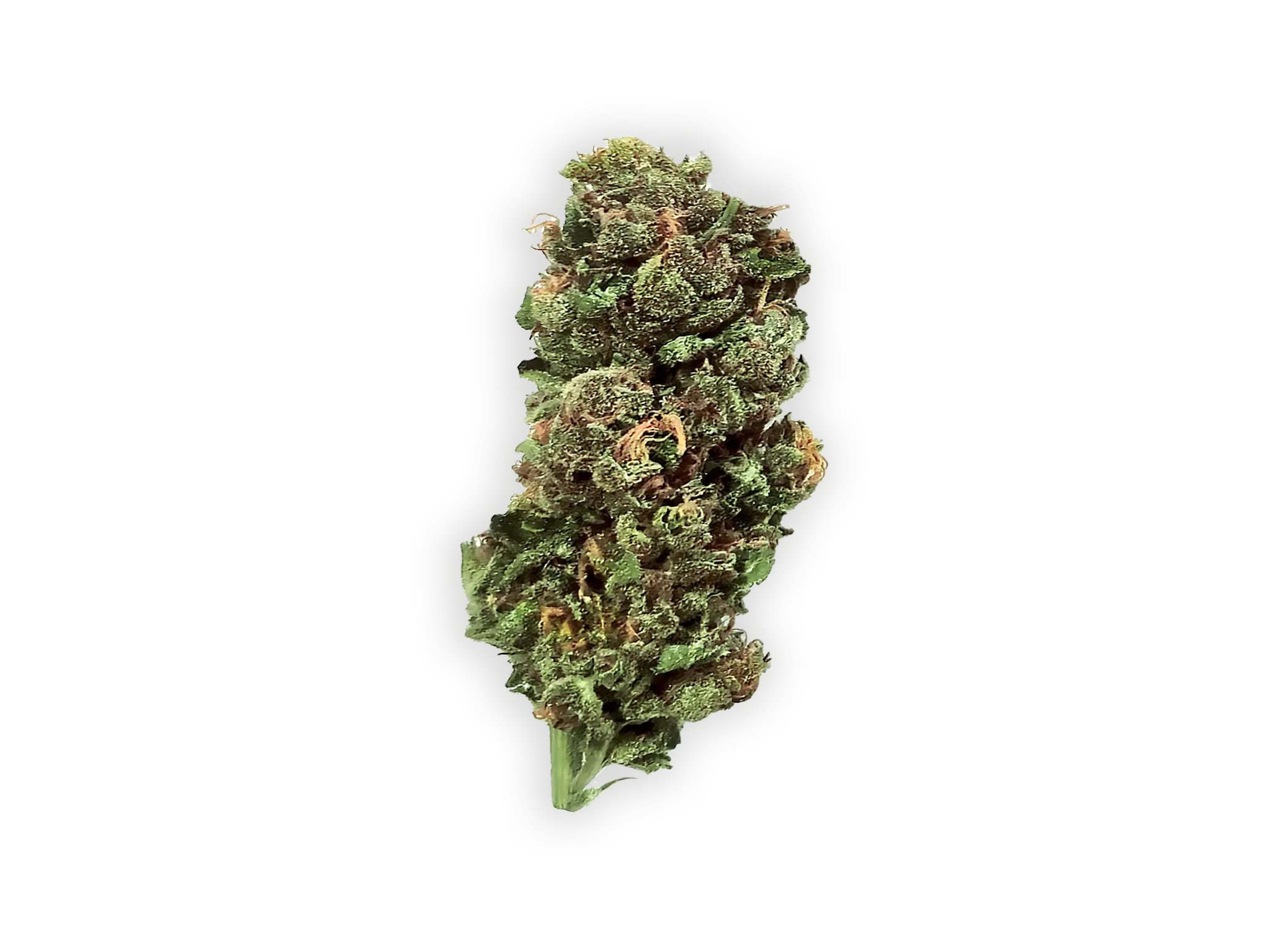 SKY MED cannabis flower