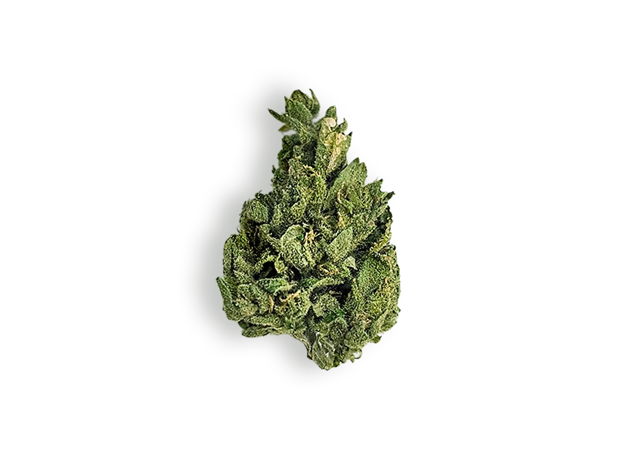 SKY SUN cannabis flower