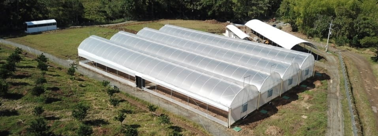 groqo greenhouse